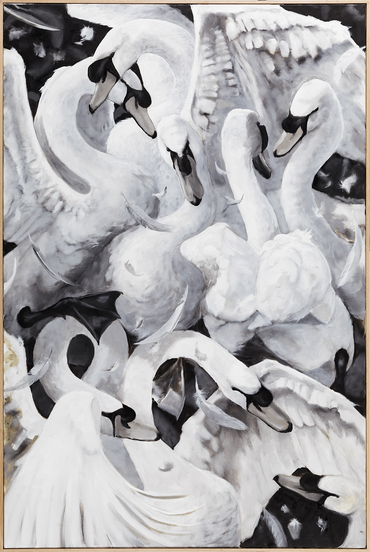 Oil painting in white, grey and black of a tangle of white swans with arching necks, spread wings and drifting feathers