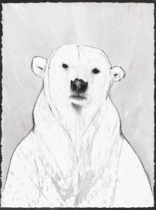 KUNGEN UTAN RIKE #34